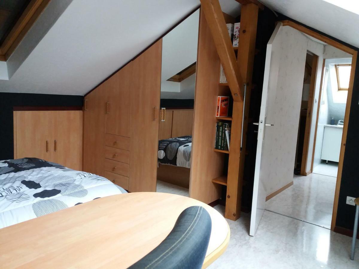 Logis 18 Rose Apartment Strasbourg Exterior photo